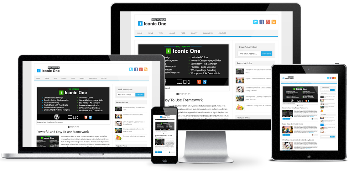 Responsive-Iconic-One-Pro